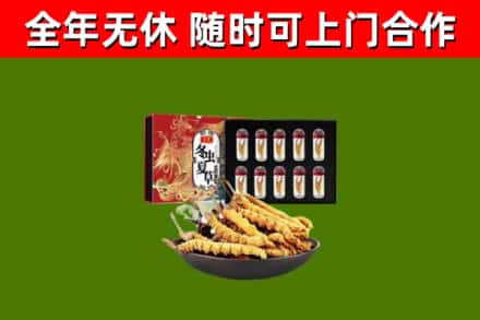 辽阳市回收冬虫夏草价格