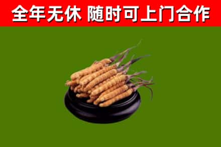 辽阳市烟酒回收冬虫夏草.jpg